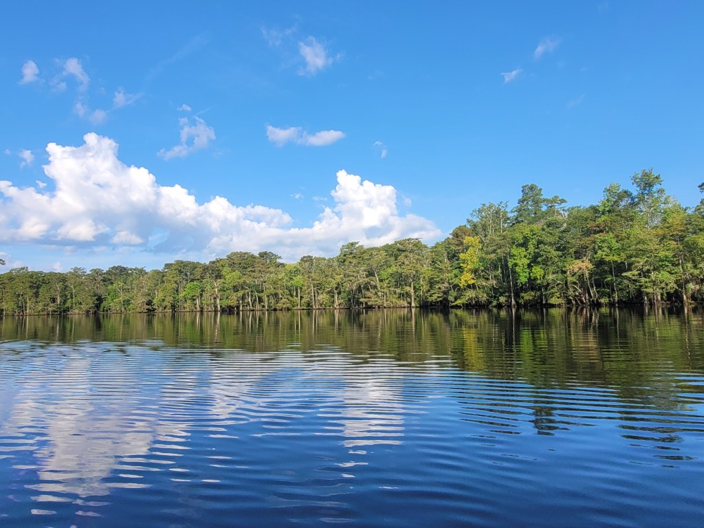 A serene view of a calm lake surrounded by lush green trees under a bright blue sky with fluffy white clouds.